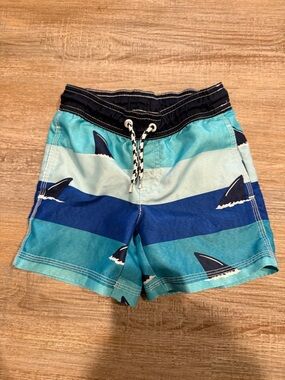 adidas Boys Blue Teal Shark Stripe Swim Trunks